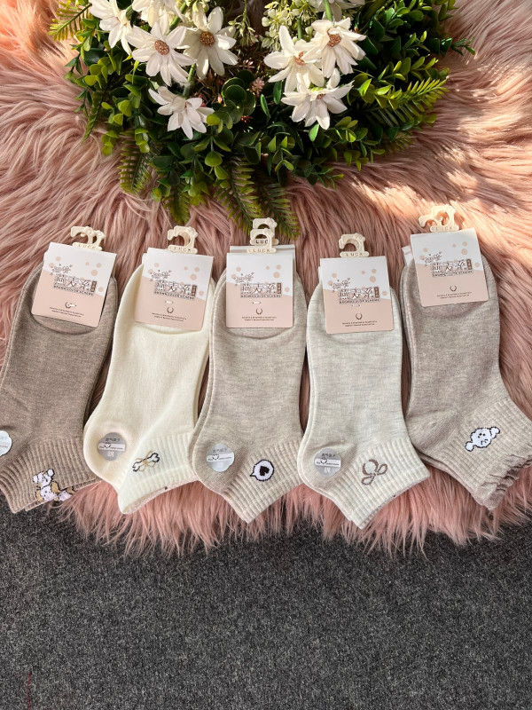5 Pair Combo set Summer Cute socks For Women